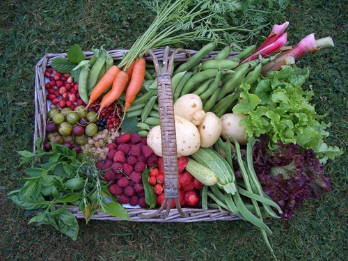 Vegetable basket