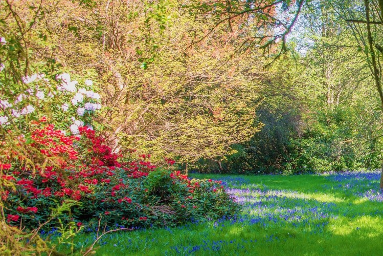 Cardross B&B gardens in springtime