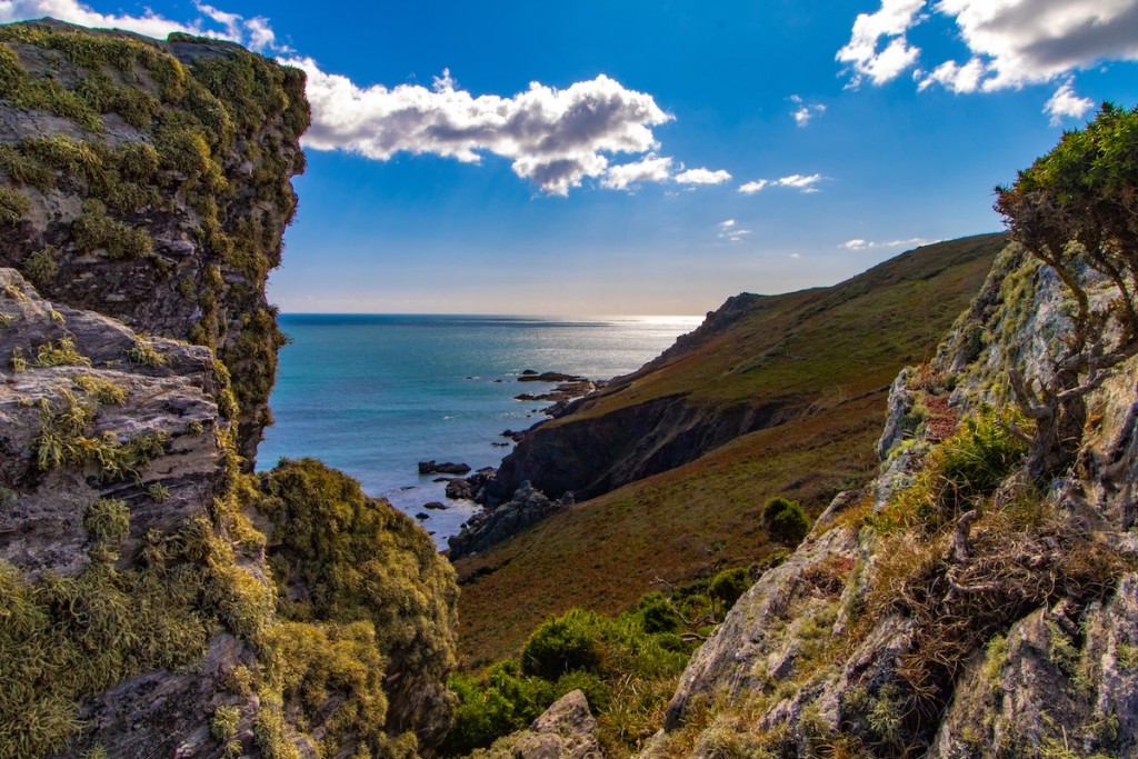 Devon coastline
