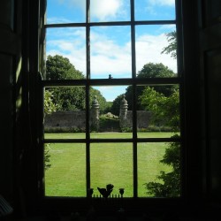 Lordington House B&B - garden view