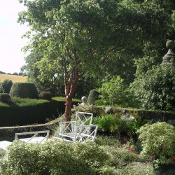 Lordington House B&B - garden
