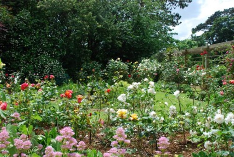 Uplands House Garden