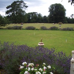 Uplands House Garden