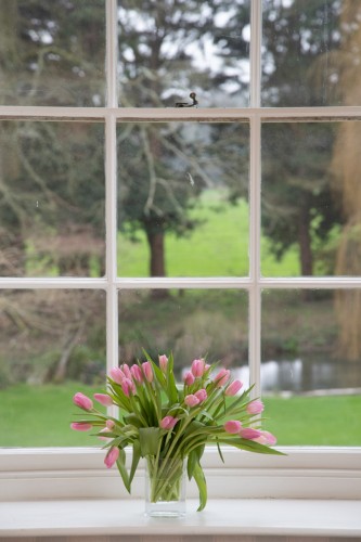 Wrackleford House Bed and Breakfast