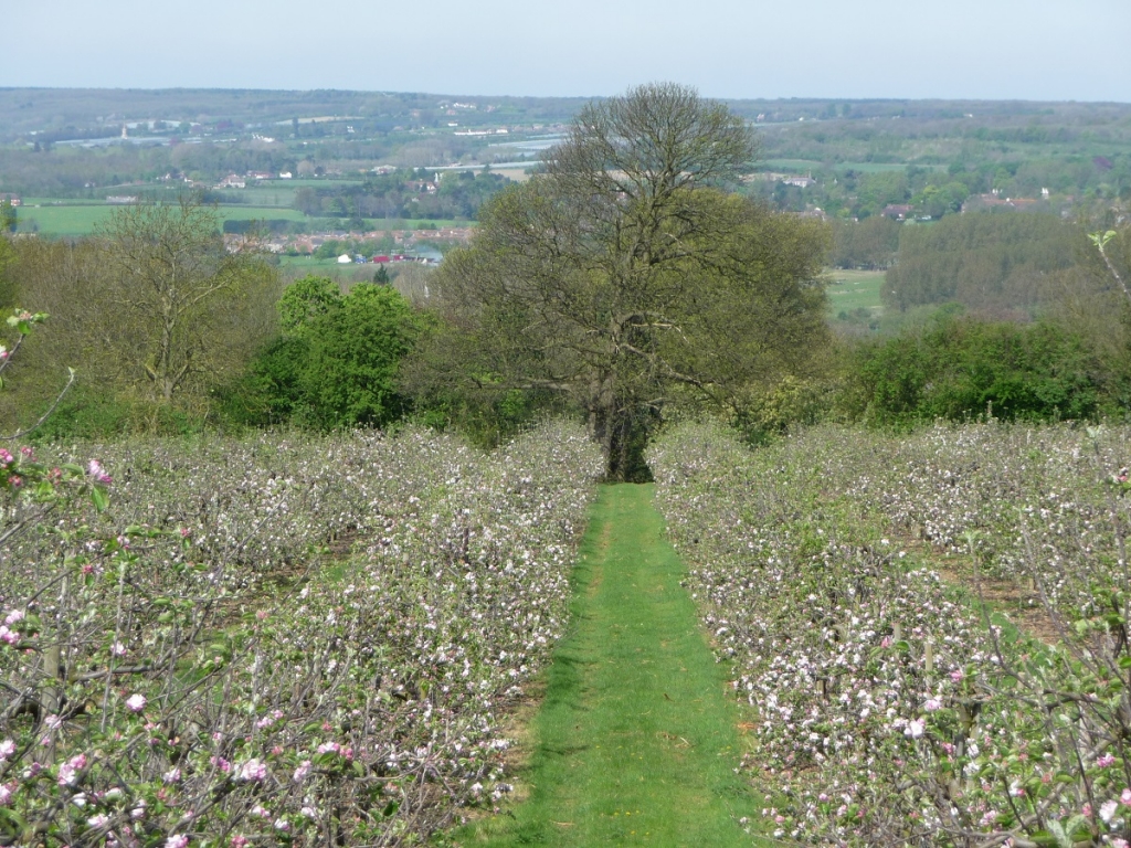 Reason Hill a Working Farm