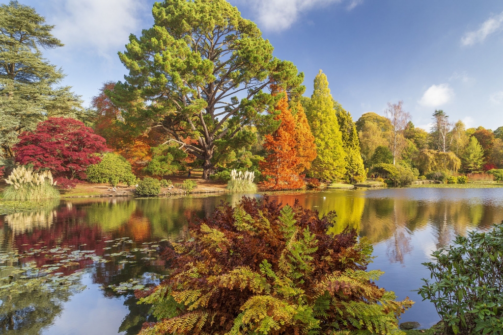 Sheffield Park Gardens