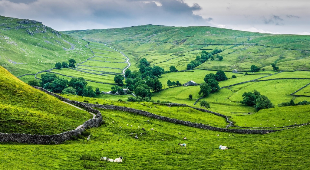 Dry stone walls in the Yorkshire Dales