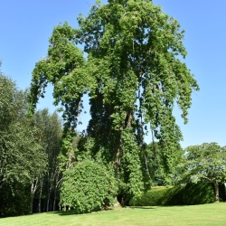 Chatton Park House B&B, Alnwick