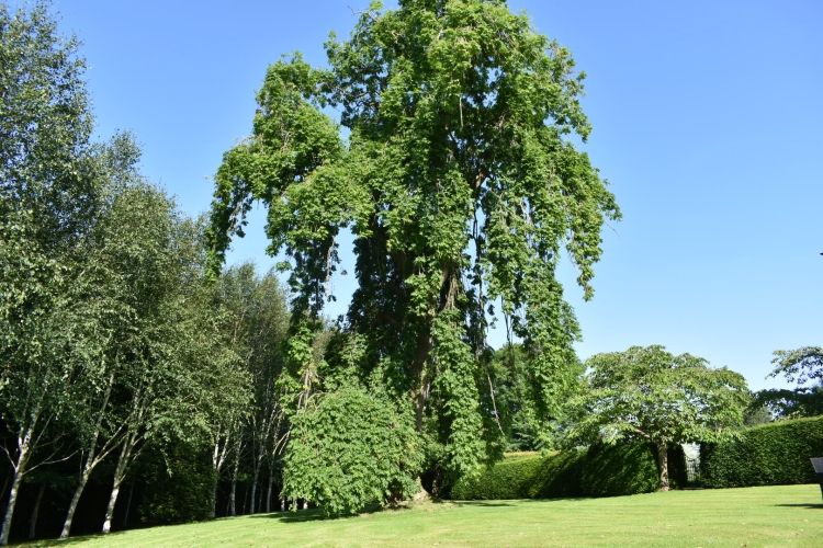 Chatton Park House B&B, Alnwick