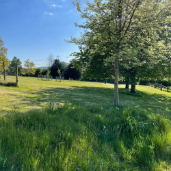 Sandhill Pool House bed and breakfast