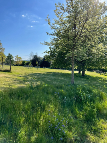 Sandhill Pool House bed and breakfast