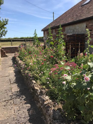 Baa Lamb Cottage, Romney Marsh